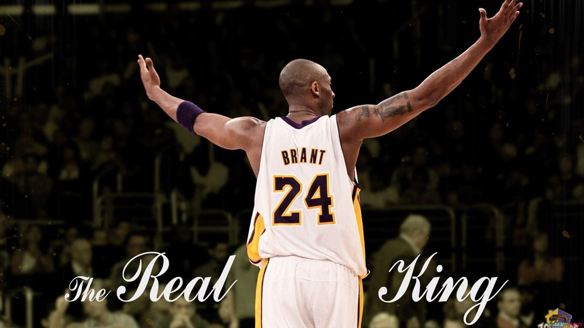 《守望先锋全球巡回赛，冠军悬念逐渐揭晓》，守望先锋巡演