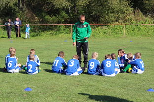 爱游戏体验-法甲球队防守战术调整后定位球防守成功率提升分析，法甲实力定位